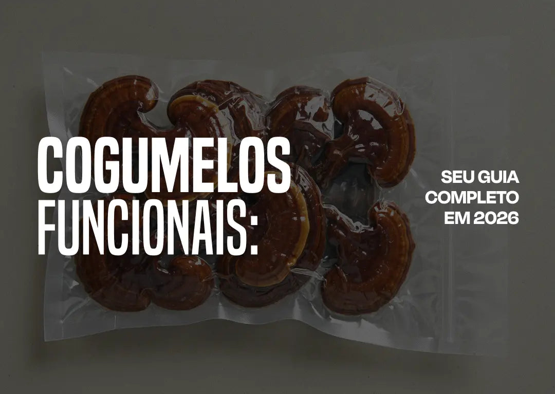 O Que São Cogumelos Funcionais? Guia Completo 2026