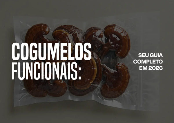O Que São Cogumelos Funcionais? Guia Completo 2026