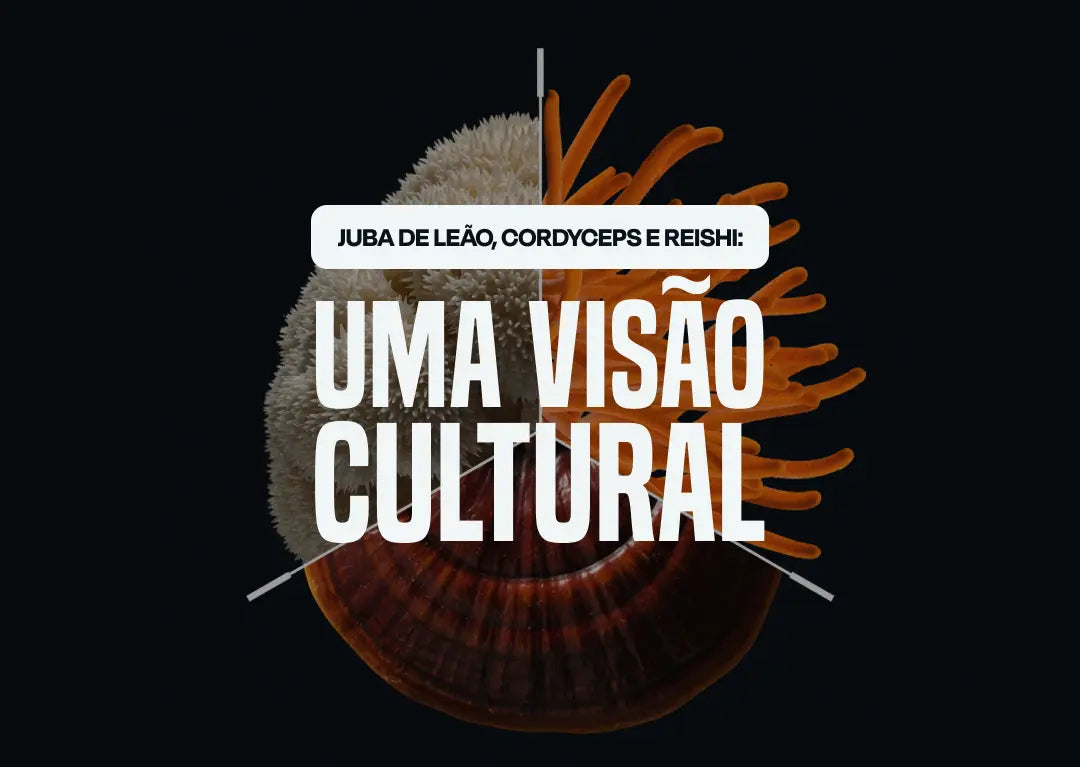 Juba de Leão, Cordyceps e Reishi: uma visão cultural