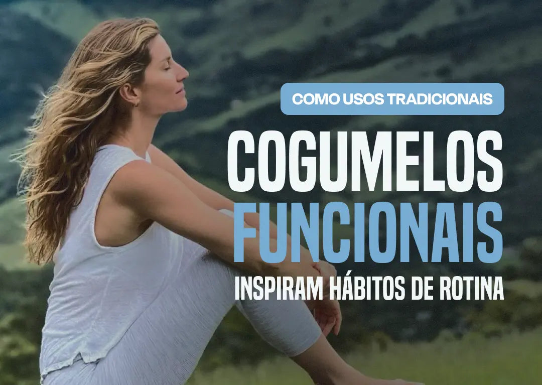 Como Alguns Usos Tradicionais de Cogumelos Funcionais Inspiram Hábitos de Rotina