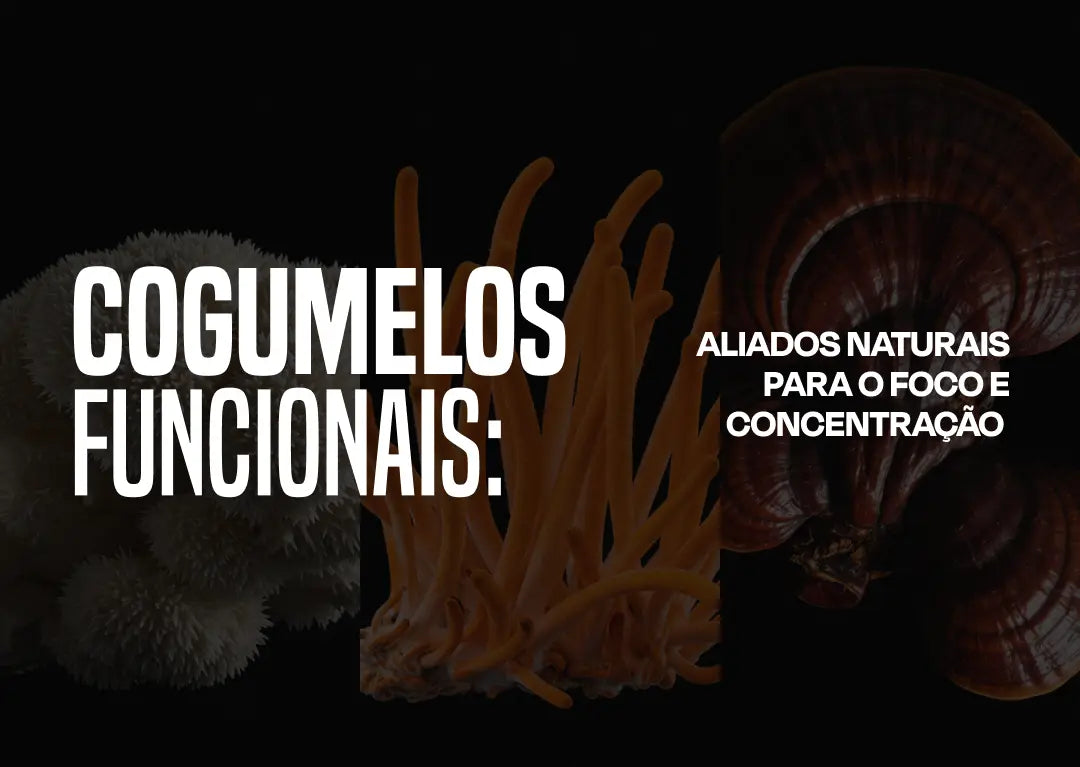 🍄 Cogumelos Funcionais: Aliados Naturais para o Foco e Concentração