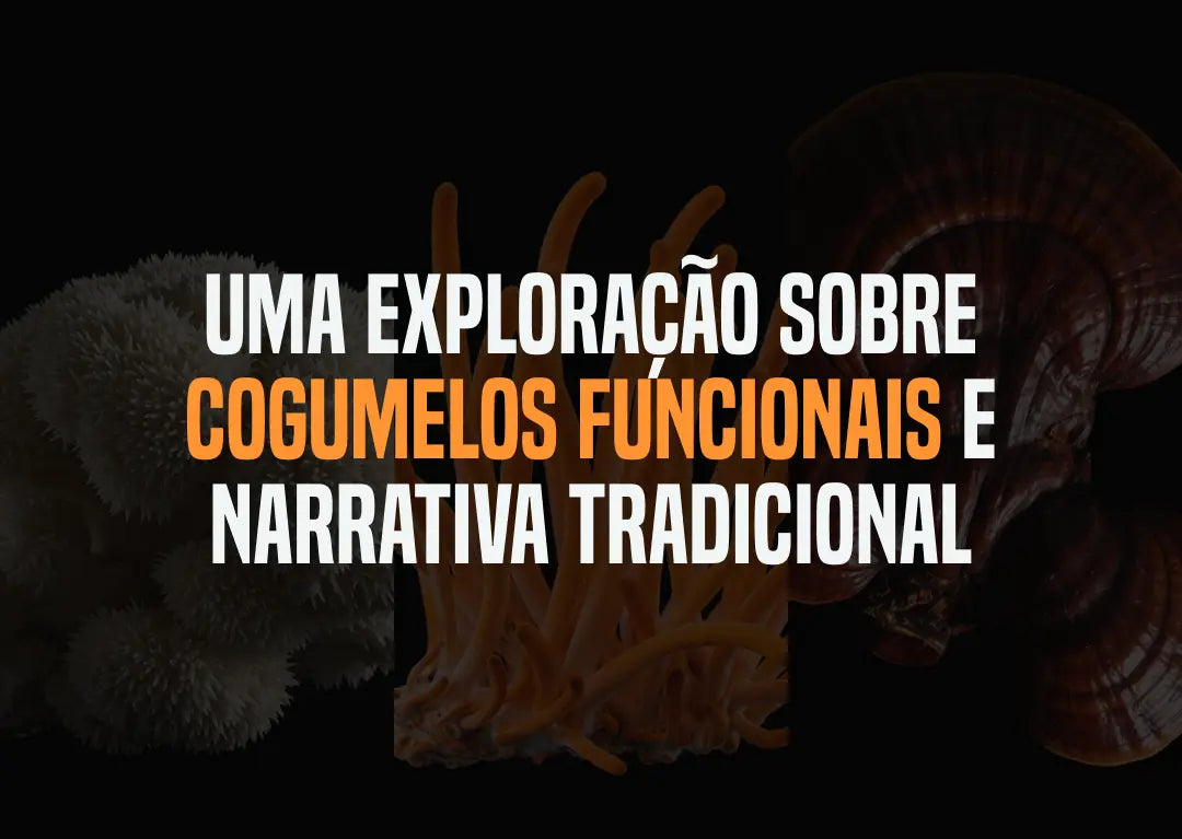 Uma exploração sobre cogumelos funcionais e narrativa tradicional