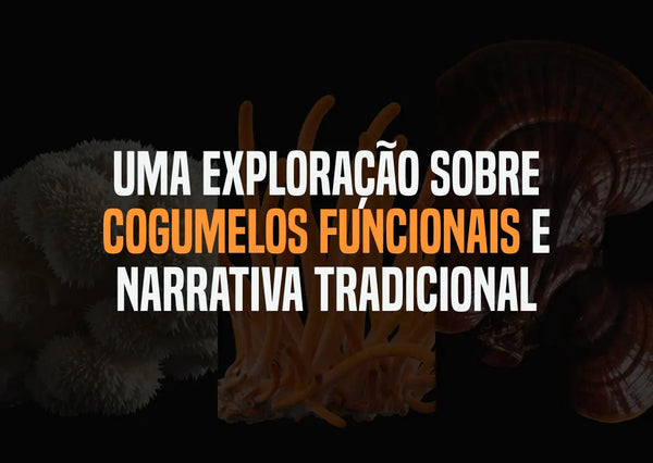 Uma exploração sobre cogumelos funcionais e narrativa tradicional