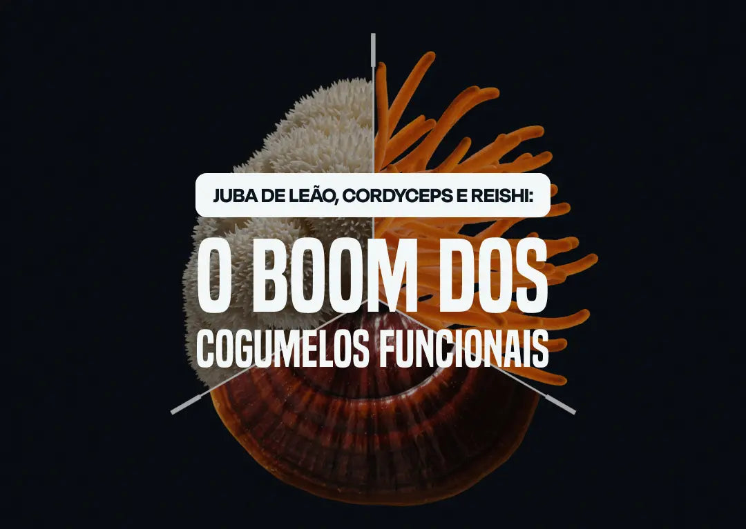 Juba de Leão, Cordyceps e Reishi: O Boom dos cogumelos funcionais