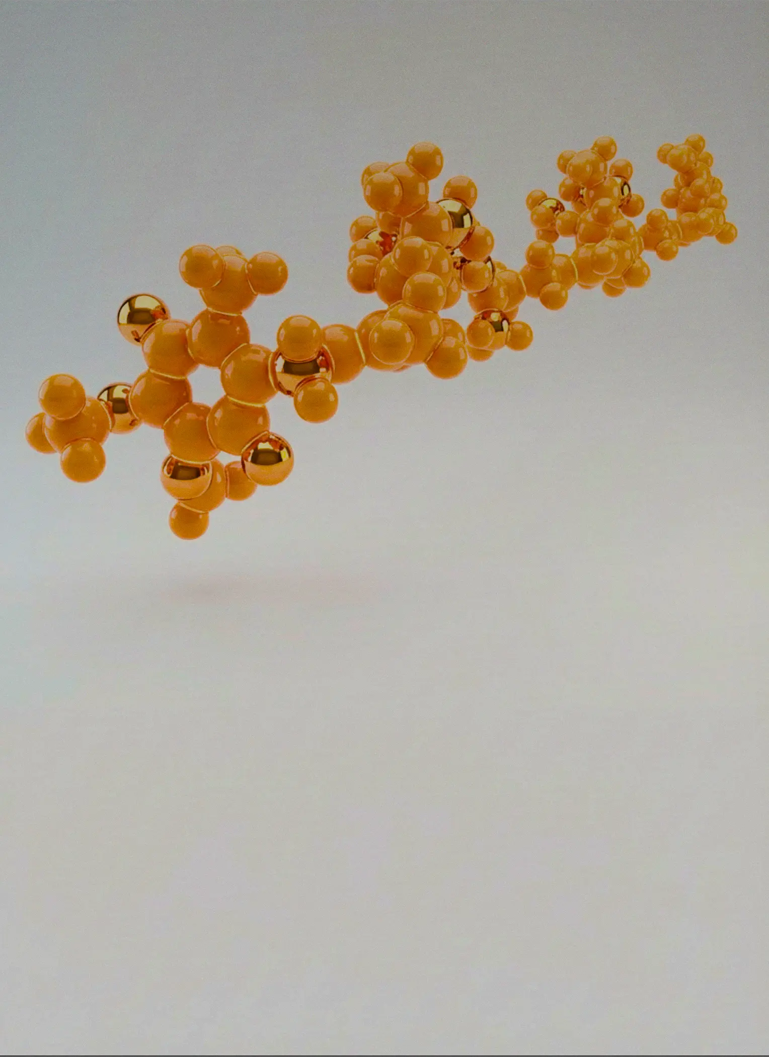 Cogumelos funcionais para sua rotina